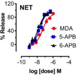 Dose-response effects of MDA, 5-APB, and 6-APB to induce release of [3H]MPP+ via DAT and NET, or [3H]5-HT via SERT, in rat brain synaptosomes.