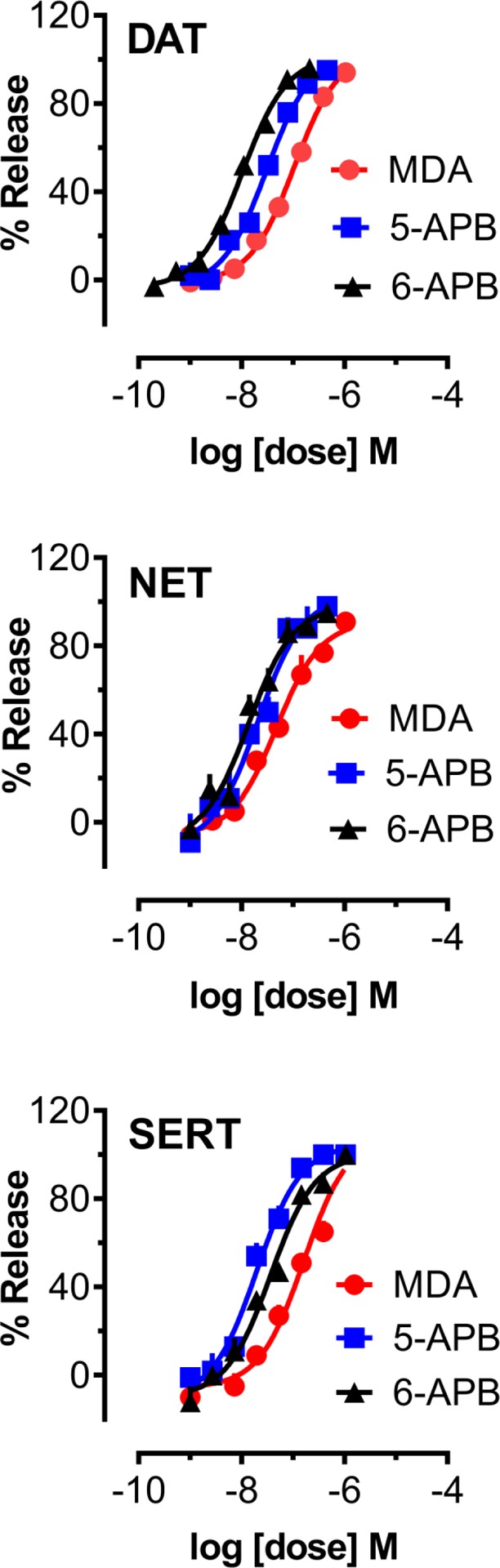 Dose-response effects of MDA, 5-APB, and 6-APB to induce release of [3H]MPP+ via DAT and NET, or [3H]5-HT via SERT, in rat brain synaptosomes.