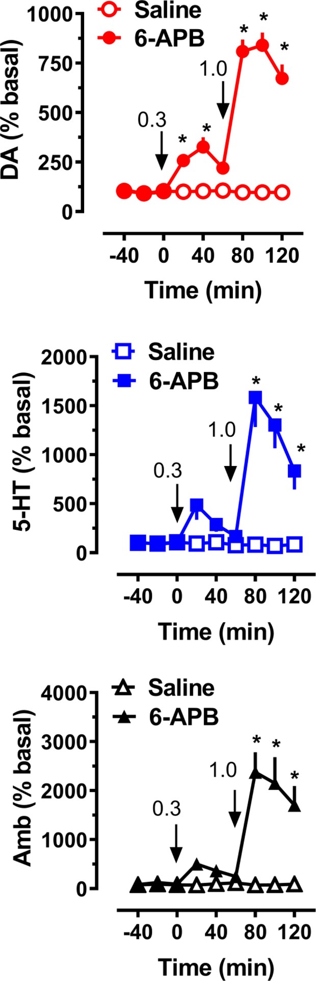 Effects of 6-APB administration on extracellular dopamine (DA) and 5-HT concentrations, and horizontal ambulation (Amb), in rats undergoing microdialysis in nucleus accumbens.