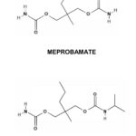 Chemical structures of carisoprodol and meprobamate